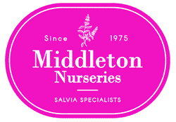 logo middleton nurseries 1 3