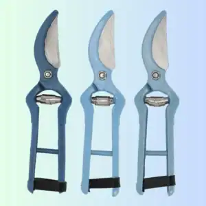 BLUE PRUNER (8)