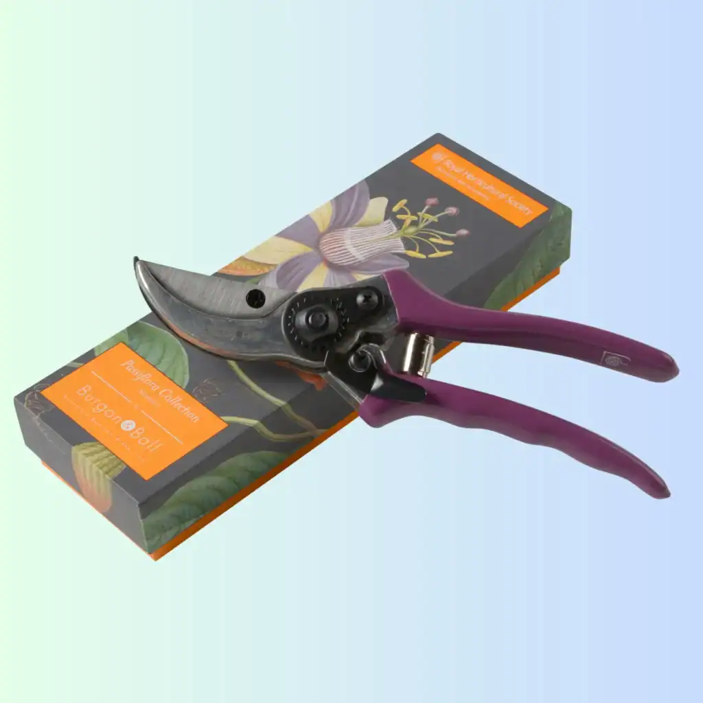 passi flora secs (4)