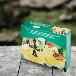 butterfly feeder lifestyle 1