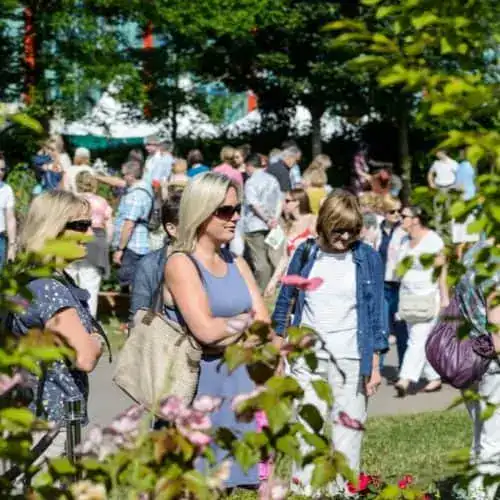Show Dates 5 BBC Gardeners World Live.jpg growing in a garden border — Middleton Nurseries, Staffordshire
