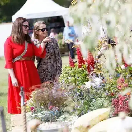 Show Dates 2 BBC Gardeners World Spring Fair.jpg in full bloom — specialist nursery plant, Middleton Nurseries