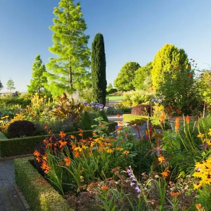 Show Dates 8 RHS Garden Hyde Hall Flower Show.jpeg flowering in the garden — Middleton Nurseries