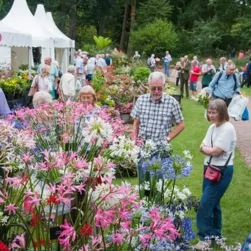 Show Dates 9 Detail of RHS Garden Wisley Flower Show.jpg foliage and flowers — Middleton Nurseries