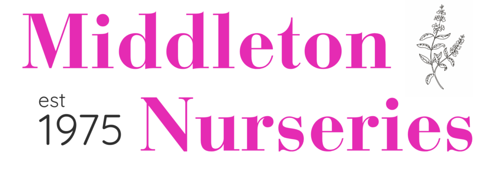 Untitled 1920 x 700 px 1700 x 600 px 3