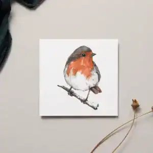 Colorful illustration of a European robin bird perched on a branch, suitable for garden and bird enthusiast decor.