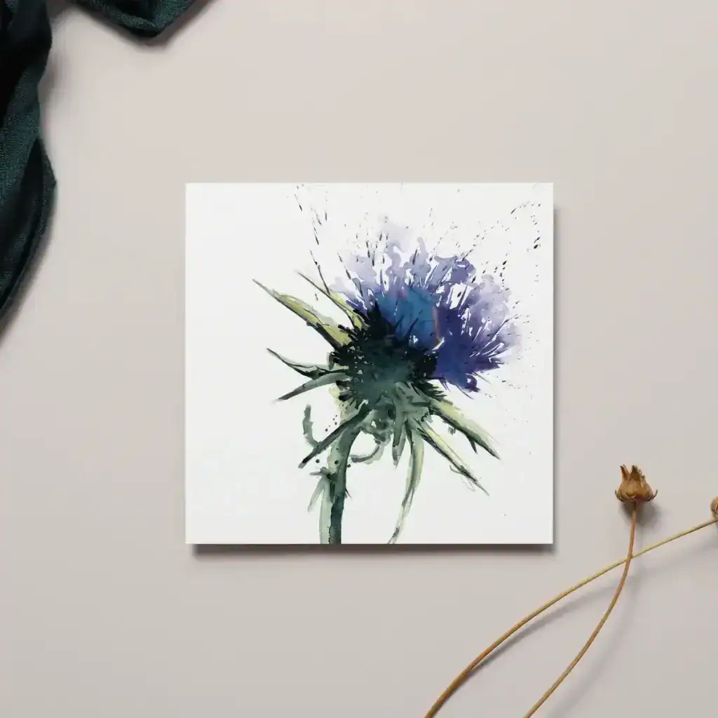 Thistle Greeting Card | Meg Hawkins Art growing in a garden border — Middleton Nurseries, Staffordshire