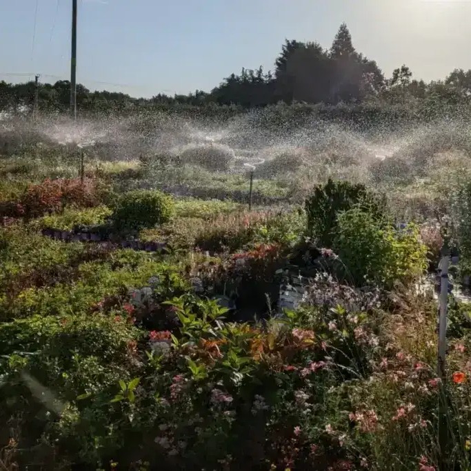 Homepage slide 3 scaled e1739264047441 1024x683 1